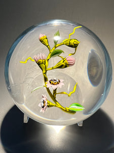 Mayauel Ward lampwork flowers paperweight
