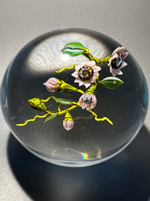 Mayauel Ward lampwork flowers paperweight