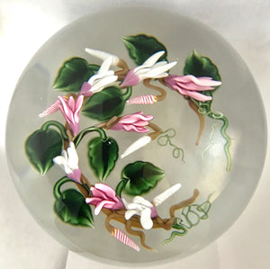 Richard Loesel Cyclamens Paperweight