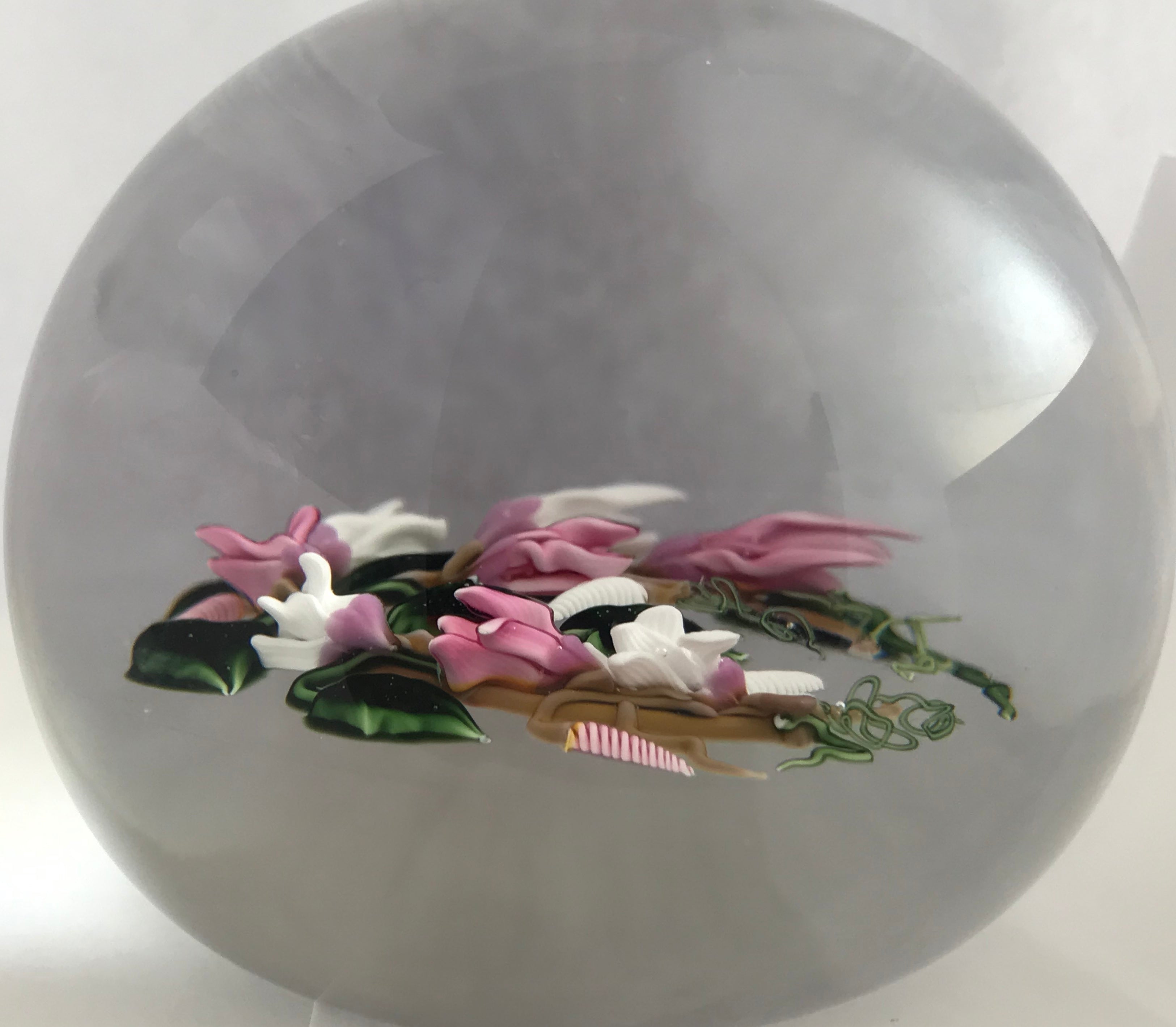 Richard Loesel Cyclamens Paperweight