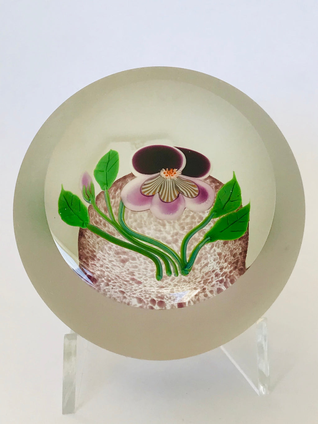 Correia Glass Pansy Paperweight LE 57/100