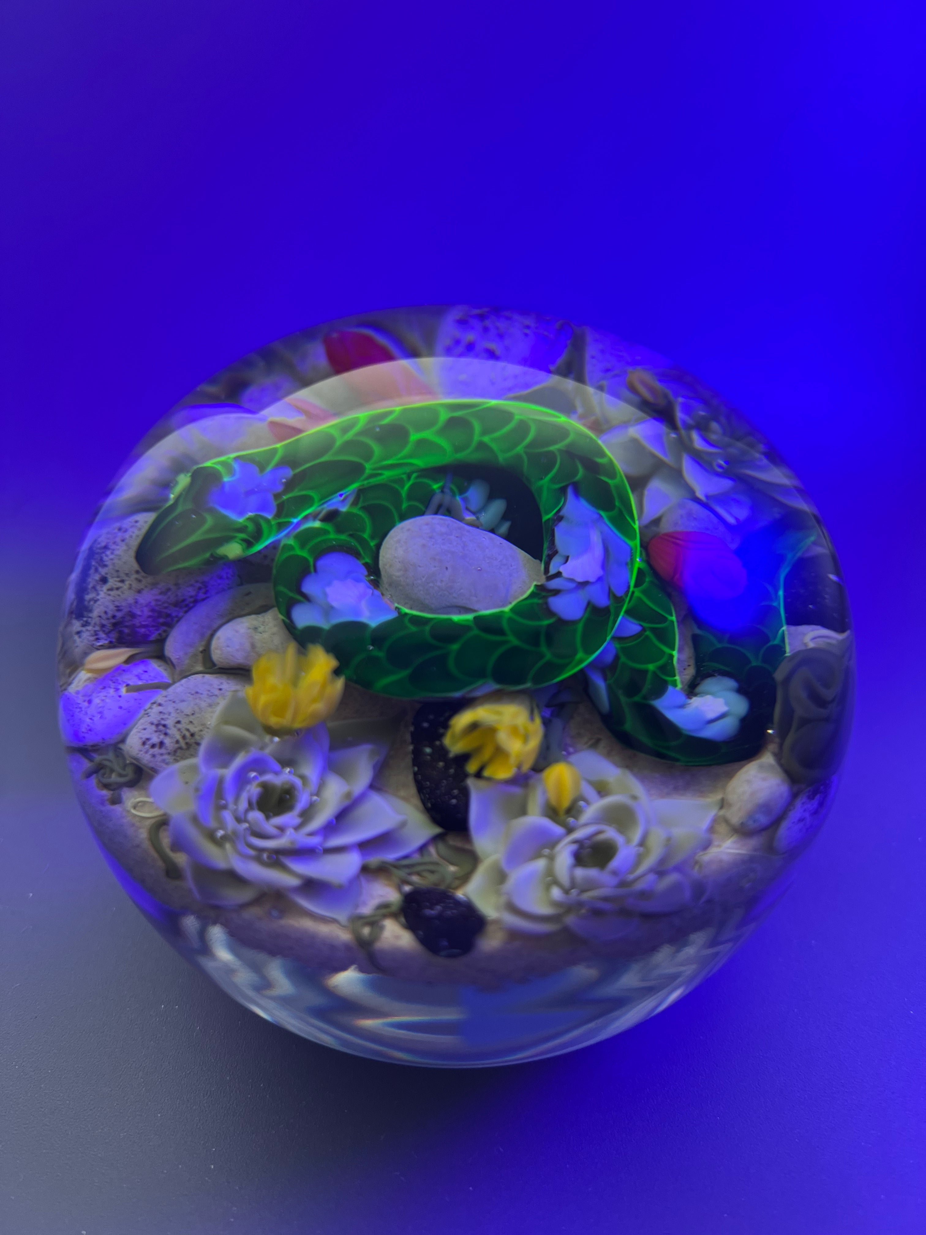 Mikael Hingant snake paperweight