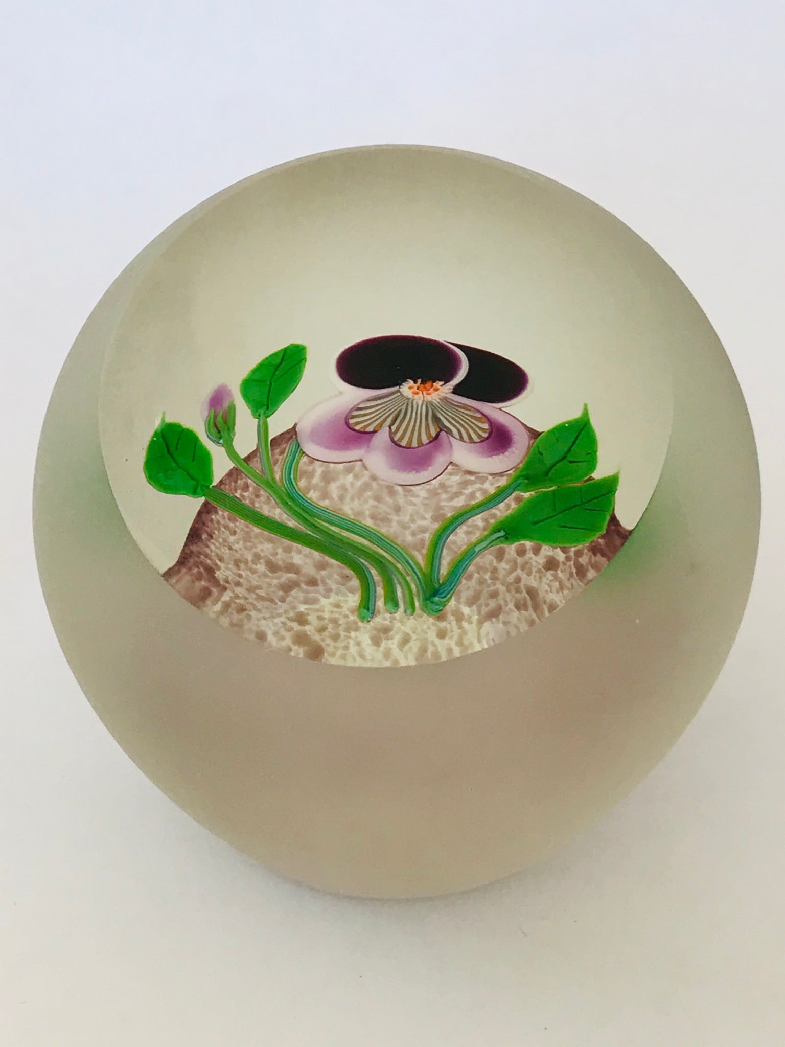 Correia Glass Pansy Paperweight LE 57/100