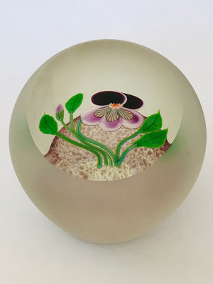 Correia Glass Pansy Paperweight LE 57/100