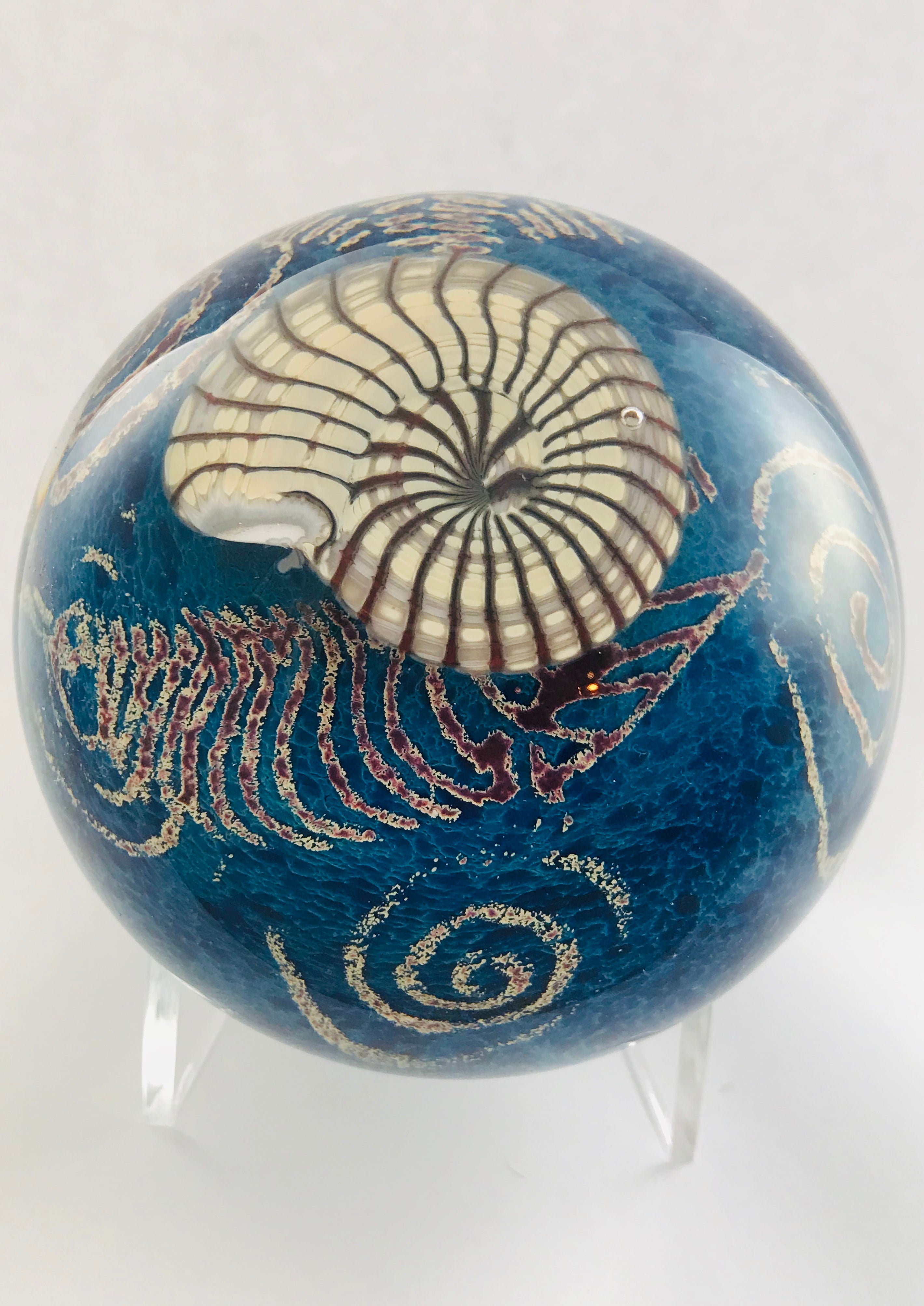 Richard Satava Nautilus Paperweight